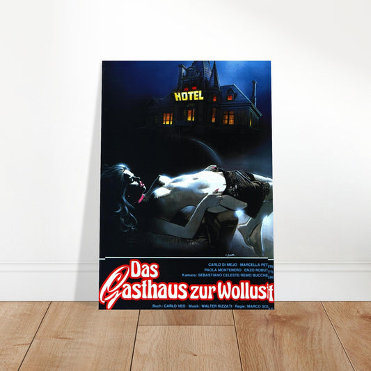 Vintage horror movie poster featuring a Gothic hotel in a dark night scene, capturing suspense and classic cinema aesthetics.